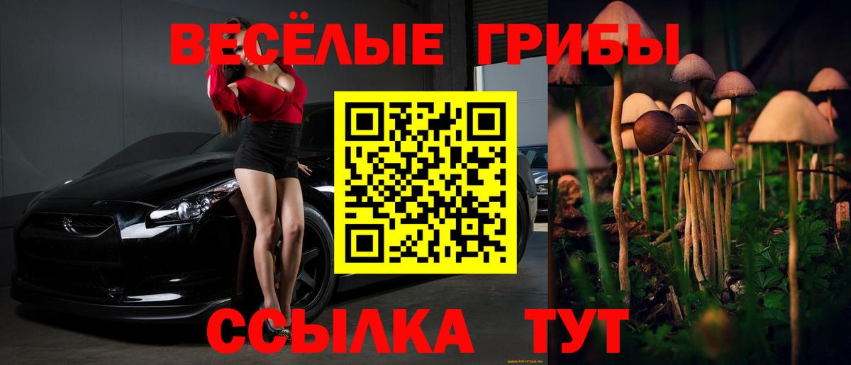 Псилоцибиновые грибы мицелий Чита